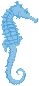 Seahorse Mauritius